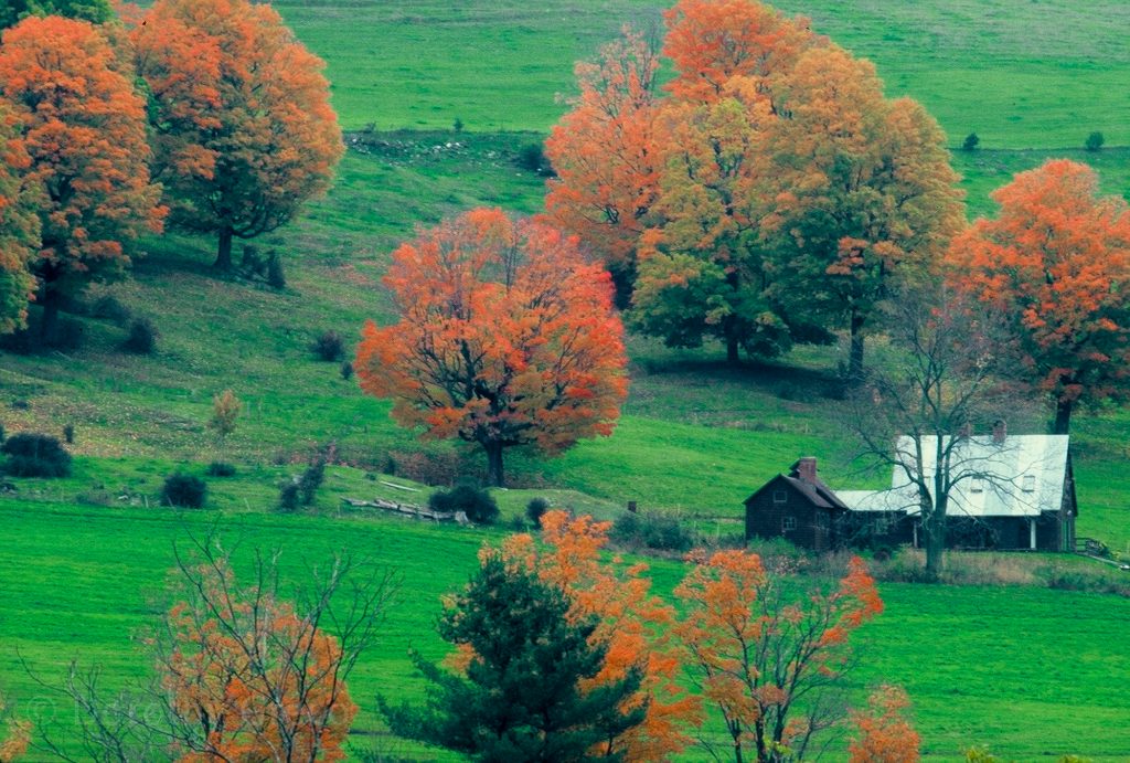 Autumn Vermont