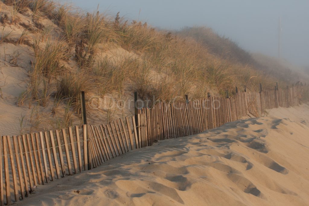 dunes westport ma