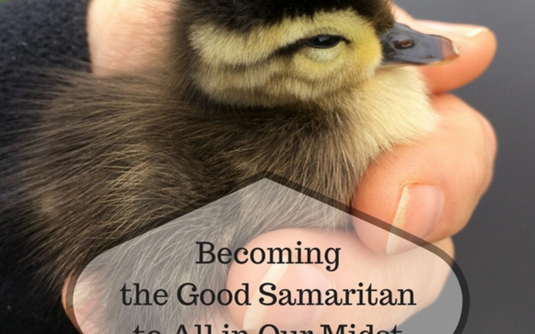 Becoming the Good Samaritan to Those in Need
